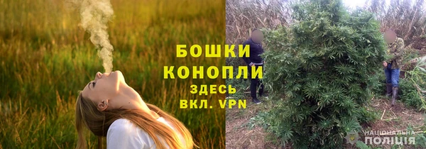 спайс Осинники