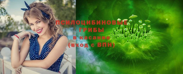 спайс Осинники