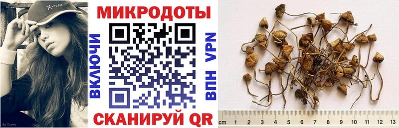 ОМГ ОМГ онион  Краснообск  Псилоцибиновые грибы GOLDEN TEACHER 